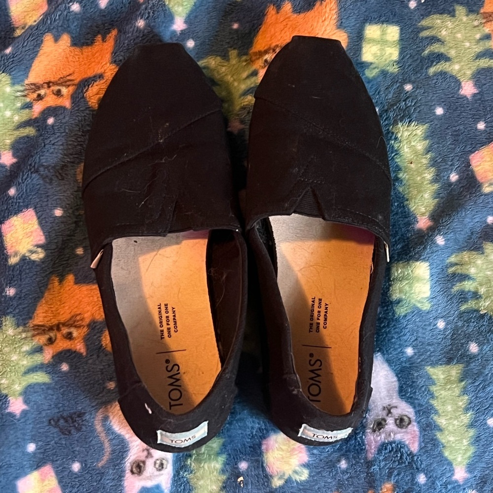 Toms slip ons